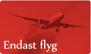 Erbjudande Flygresor